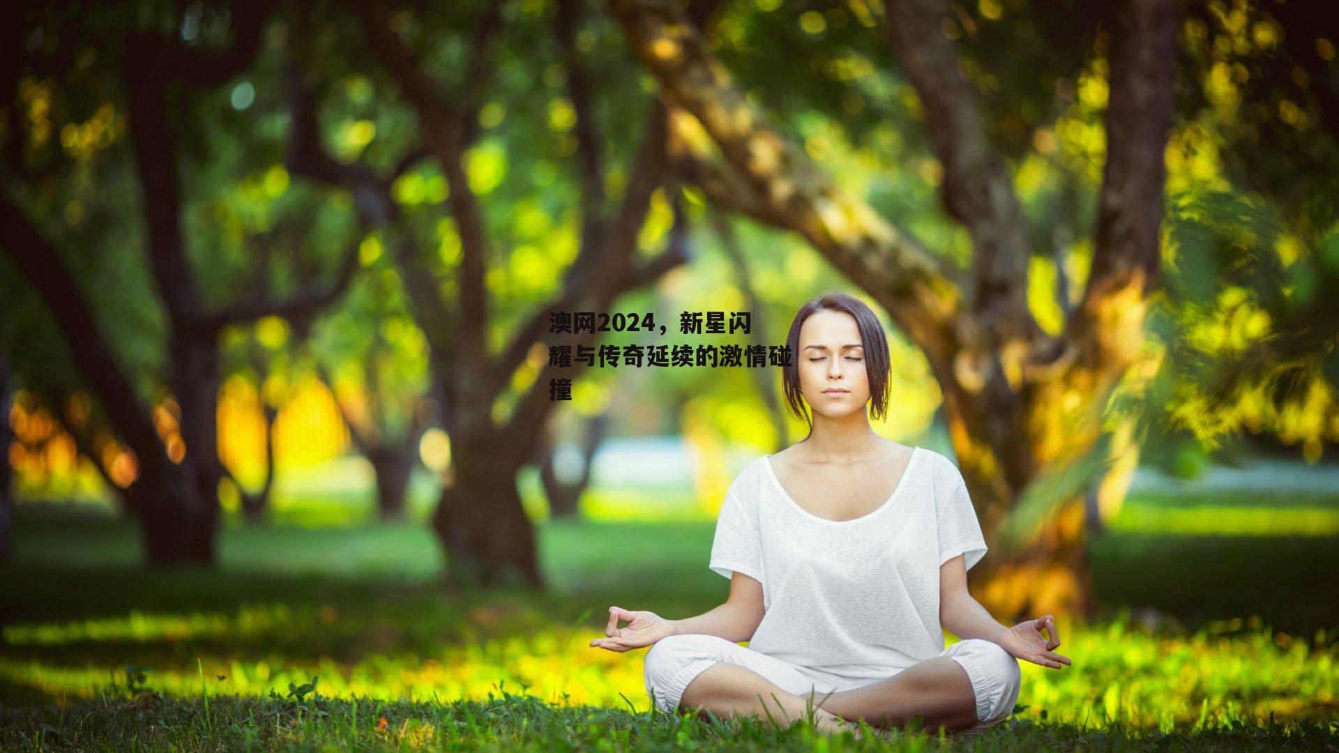 乐竞网站入口_澳网2024，新星闪耀与传奇延续的激情碰撞